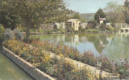 ROYAUME UNI -  Axbridge : Ambleside Water Gardens Weare - 2 Postcards - Weston-Super-Mare