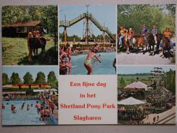 Shetland Ponypark Slagharen - Andere & Zonder Classificatie