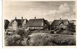 Hansawarft Mit Königshaus Auf Hallig Hooge Sw Gel. 31.8.1956 Nach Winkel Rh. - Halligen