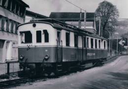 Chemin De Fer, Trains Du Canton Appenzell Appenzell-Wasserauen, Photo 1974 (11516) - Appenzell