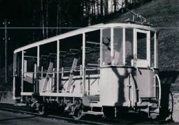 Chemin De Fer, Trains Du Canton Appenzell Et St Gall Photo Retirage TB 12 - Appenzell