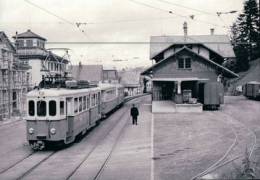 Chemin De Fer, Trains Du Canton Appenzell Et St Gall Trogen Photo 1967 BVA 123.11 TB - Appenzell