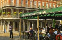 New Orleans 'Cafe Du Monde' Animata - New Orleans