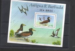 ANTIGUA BABUDA Nº HB 126 - Albatrosse & Sturmvögel