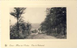 MONT DE L´ENCLUS - Vers Le Balmoral - Mont-de-l'Enclus