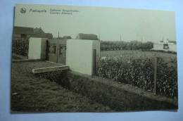 Poelcapelle - Cimetière Allemand - Langemark-Pölkapelle