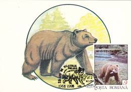 BEARS OURS,1193,CM,MAXICARD,CARTES MAXIMUM ROMANIA. - Ours