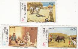 1979 Turchia - 15° Ann.  Cooperazione Regionale - Unused Stamps