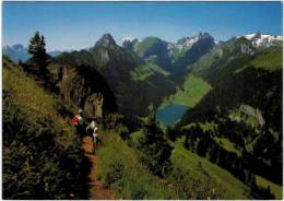 Suisse - Appenzellerland - Sämtisersee Mit Altmann Und Säntis - Appenzell