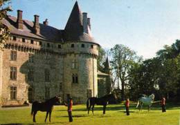 ARNAC POMPADOUR PRESENTATION ETALONS DE SANG DEVANT LE CHATEAU - Arnac Pompadour