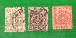 19 POLONIA 1919-Gobierno Prov.- Sellos Emitidos Por Polonia Del Norte, Ocupada Por El Ejercito Alemán - Unused Stamps