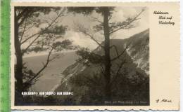 „Hiddensee, Blick Auf Fliederberg“  Um 1950/1960  , Ansichtskarte Ohne Frankatur, Mit Stempel, - Hiddensee