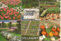 Cp , 37 VILLANDRY , Château Et Ses Jardins , Vierge , Ed : Valoire - Other & Unclassified