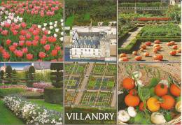 Cp , 37 VILLANDRY , Château Et Ses Jardins , Vierge , Ed : Valoire - Other & Unclassified