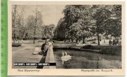 „Bad Lippspringe, Lippquelle Im Kurpark“ Um 1930/1940 Ansichtskarte, Ungebrauchte Karte - Paderborn