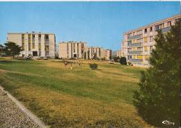 CP Freneuse  Les Ensembles Du Nouveau Freneuse  Architecte  La Soval Et La Socoma  Mantes La Jolie 78 Yvelines - Freneuse