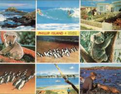 (301) Victoria - Phillip Island - Andere & Zonder Classificatie