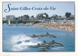 Saint-Gilles-Croix-de-Vie - Sauts De Dauphins En Bord De Plage - - Delfines