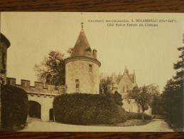 17 - MIRAMBEAU - Côté Sud Et Entrée Du Château - Mirambeau