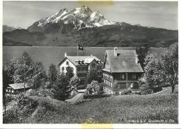 Vitznau - Hotel SEV Grubisbalm Am Rigi               Ca. 1950 - Vitznau