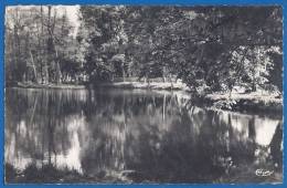 CPSM - VAL DE MARNE - SUCY EN BRIE - ETANG DU GRAND VAL - CIM 9 - Sucy En Brie