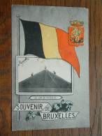 Souvenir De Bruxelles / Le Lion De Waterloo ) / Anno 1907 ( Vlekken-beschreven / Zie Foto Voor Details ) !! - Nijvel
