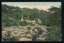 In Jesmond Dene , Newcastle - On - Tyne - Other & Unclassified