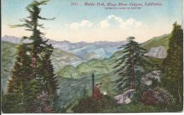 3111 Middle Fork Kings River Canyon California Mint Card Published By Edward H Mitchel San Francisco Cal - Kings Canyon