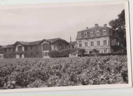 Cpsm 33 Gironde  Pauillac Chateau Pontet Canet - Pauillac