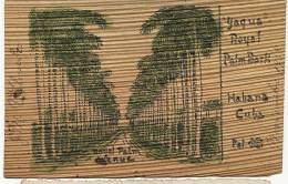 Yagua Royal Palm Avenue Habana Wooden Card Carte En Bois Postal De Madera - Cuba