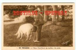 TRUFFE - Chercheur De Truffes Avec Son Cochon - Champignon - Dos Scané - Autres & Non Classés