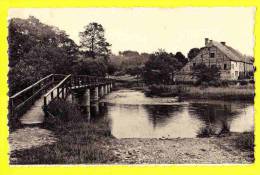 * Resteigne Sur Lesse (Tellin - Luxembourg - La Wallonie) * (Arduenna, Nr 3107) Passerelle Sur La Rivière, Moulin, Pont - Tellin