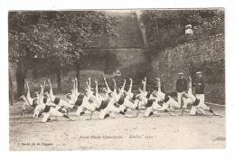 CPA - 58 - Nièvre : Clamecy : Avant Garde Clamecyçoise : Adultes ( Faisant De La Gymnastique ) 1910 - Clamecy