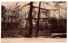 Cpa 95 - Forêt De Saint-Leu - L´étang Godart - Saint Leu La Foret