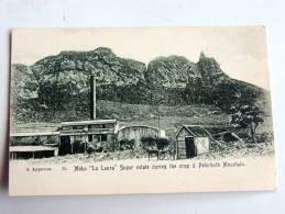 Carte Postale  Ancienne : MAURITIUS : MOKA : "La Laura" Sugar Estate During The Crop & Peterboth Mountain - Maurice