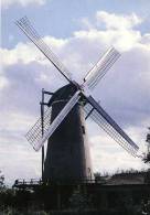 BERGHEM (N.Br.) - Molen/moulin - Historische Opname Van De Gewezen Stellingmolen 'De Anna' In 1960. Thans Nog Romp. - Andere & Zonder Classificatie