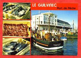 * LE GUILVINEC,Port De Pêche-1986(Multiples Vues:Poissons,Bateaux JACINTHE,PAX VOBIS) - Guilvinec