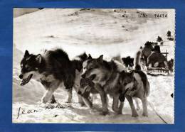 GROENLAND  ATTELAGE DE CHIENS ESQUIMAUX EN PLEIN EFFORT CARTE PHOTO DE JEAN NOHAIN - Greenland
