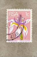 AFRIQUE Du SUD : Fleur : Dietes Grandiflora (Dietes à Grande Fleur, Iris D´Afrique Du Sud) Famille Des Iridaceae - Gebruikt