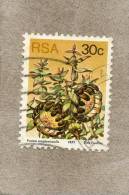 AFRIQUE Du SUD : Fleurs : Protea Amplexicaulis Ou Sugarbushe - Used Stamps