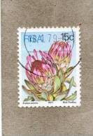 AFRIQUE Du SUD : Fleurs : Protea Eximia Ou Duchesse Pritea- Famille Des Proteaceae - Oblitérés