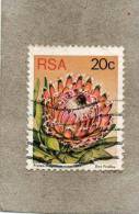 AFRIQUE Du SUD : Fleurs : Protea Magnifica Ou Reine Protea- Famille Des Proteaceae - Gebraucht