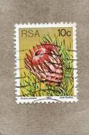 AFRIQUE Du SUD : Fleurs : Protea Aristata- Famille Des Proteaceae - Used Stamps