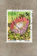 AFRIQUE Du SUD : Fleurs : Protea Cynaroides Ou Protée Royale - Plante Nationale De L´A Du S - Famille Des Proteaceae - Oblitérés