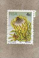 AFRIQUE Du SUD : Fleurs : Protea Longifolia Ou Sugaubushe Longue Feuille  - Famille Des Proteaceae - Oblitérés