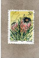 AFRIQUE Du SUD : Fleurs : Protea Nereiifolia Ou Protée à Feuille De Laurier-rose - Famille Des Proteaceae - Used Stamps