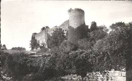 Gençay (Vienne) - Ruines Du Château Féodal (XIIIè, XIVè S. - Gencay