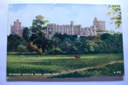 Windsor Castle From Home Park - Other & Unclassified