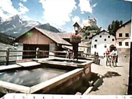 SUISSE SVIZZERA SCHLOSS TARASP MIT PIZ NAIR BAD SCUOL TARASP VULPERA FONTANA E CASTELLO N1980  DX4147 - Scuol