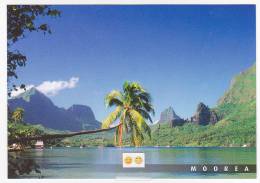 Polynésie Française /  Moorea - Baie De Cook - 104 - Tahiti